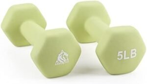 LIONSCOOL Set of 2 Neoprene Coated Dumbbell Hand Weights, An...