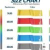 Resistance Bands for Working Out, Physical Therapy Bands, El...