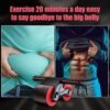 Automatic Rebound Abdominal Wheel Kit - Ab Roller Workout Eq...
