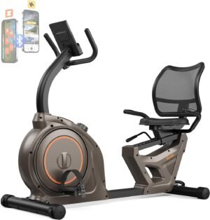 Niceday Recumbent Exercise Bike, Indoor Recumbent Exercise B...