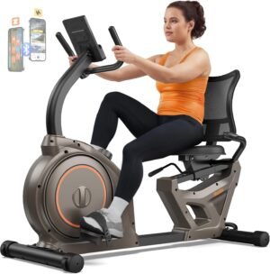 Niceday Recumbent Exercise Bike, Recumbent Bike for Home, Re...