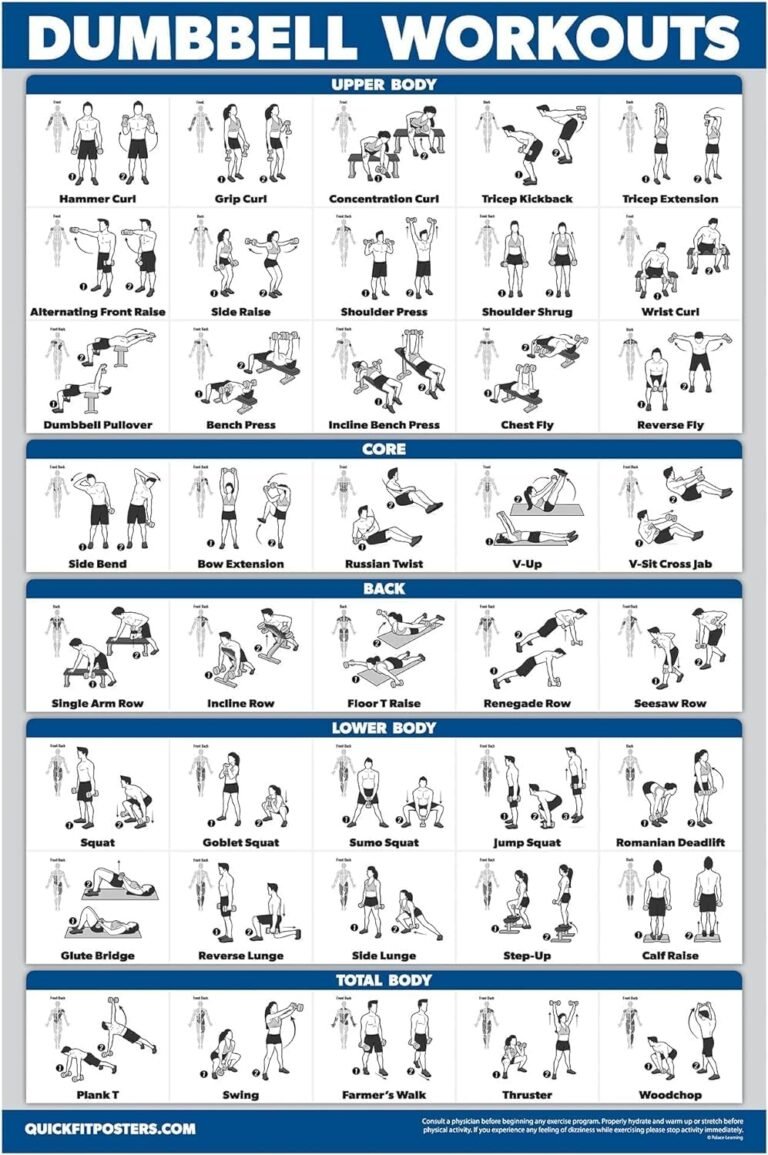 Maximize Your Home Workouts: The Palace Learning Dumbbell Poster Review